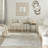 Abstract Machine Woven Rectangle 6' x 9' Polypropylene Area Rug in Ivory/Cream