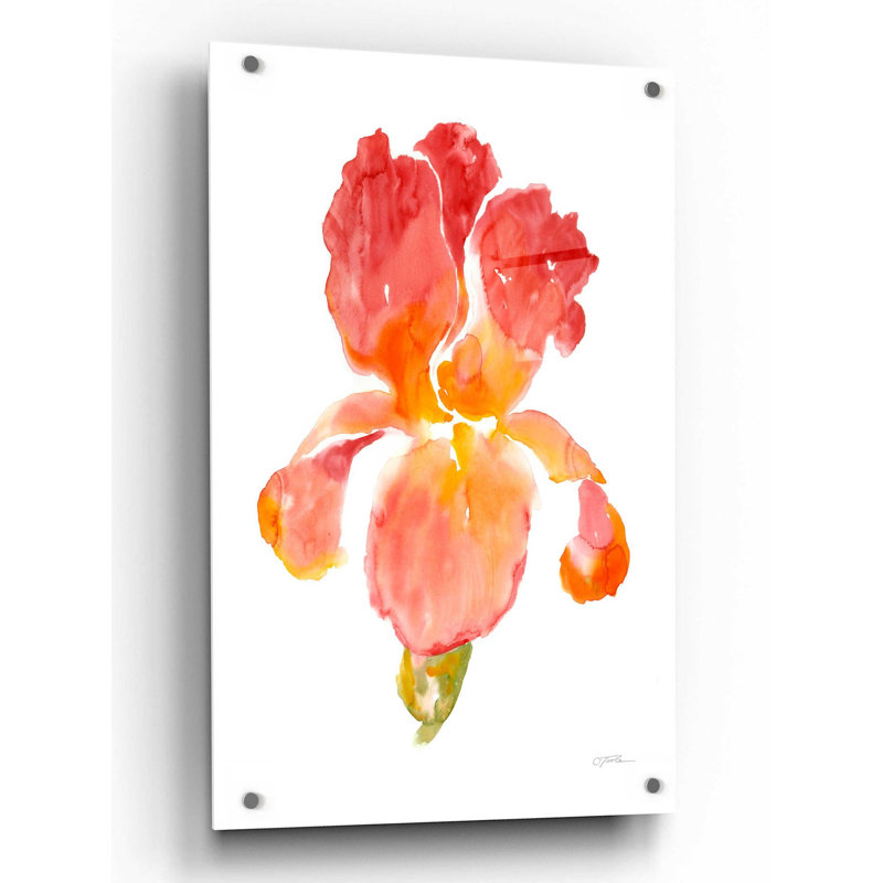 «Sunset Blooms I» par Tim O'Toole, art mural en verre acrylique, H 36 po x l 24 po x P 0,2 po