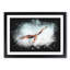 Black Kite Bird - Picture Frame Painting Print-56854713-56854711
