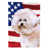 Beige bichon frisé