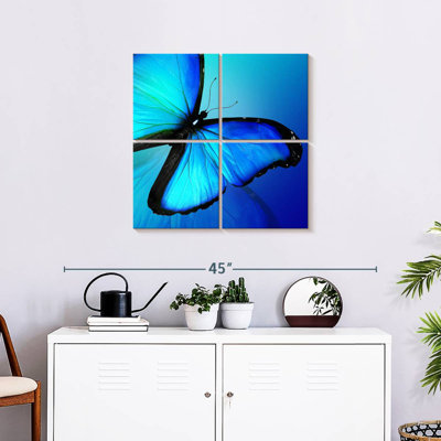 Brampt brillant Morpho papillon