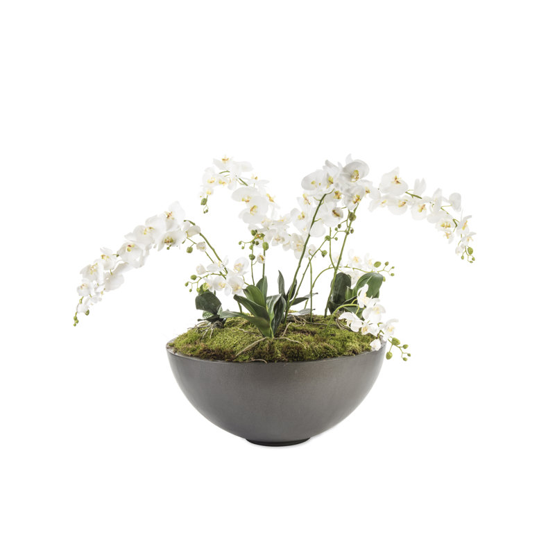 Jodelle Fibreglass Planter, Medium