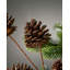 6.1cm Solid Colour Pick