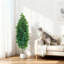 150cm Plant-1447866082