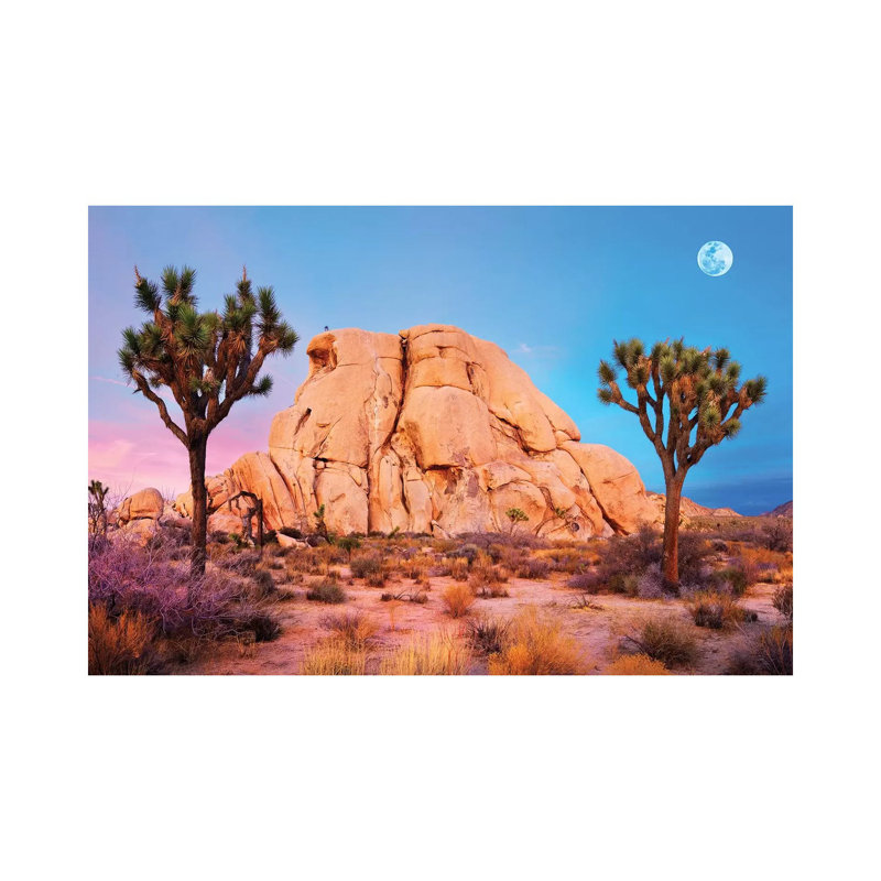 Joshua Tree National Park II by Susanne Kremer - Wrapped Canvas Gallery-Wrapped Canvas Giclée, 45.72 cm H x 66.04 cm W