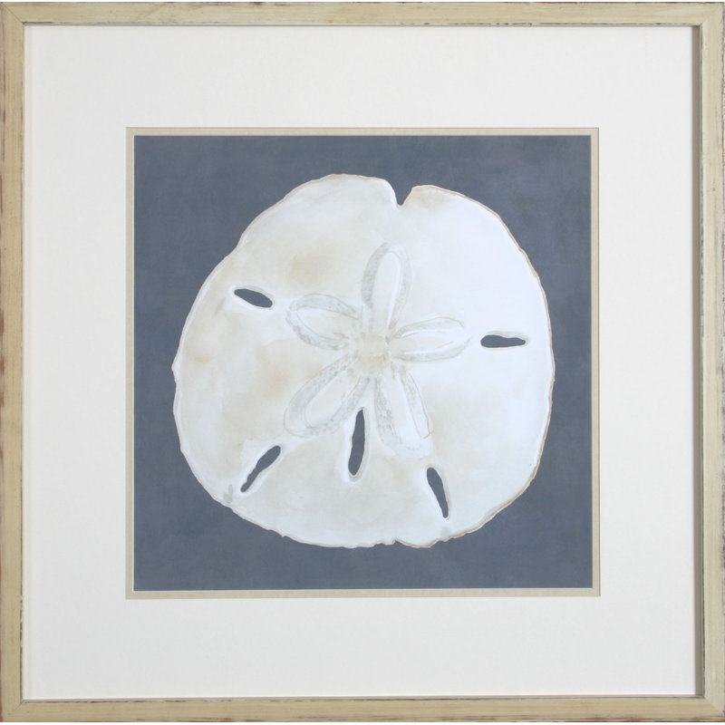 «Shell on Slate II» par Meagher - reproduction de photo encadrée sur papier