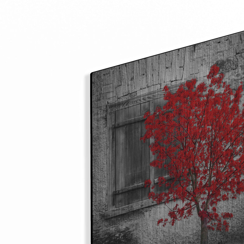 «Passion» par Luxe Metal Portfolio, H 16 po x l 12 po