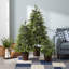 4 H Christmas Tree