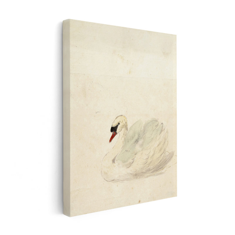 Aert Schouman - Zwaan, Unframed, Canvas, 12"H x 16"W