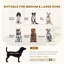Grand canapé pour chien en velours avec rembourrage en mousse, lit pour chien doux et mignon avec motif perlé, canapé pour grands et moyens chiens, gris anthracite