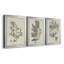 «Antique Black and White Botanical IV», ensemble de 3 peintures sur toile encadrées-508101478-508101473