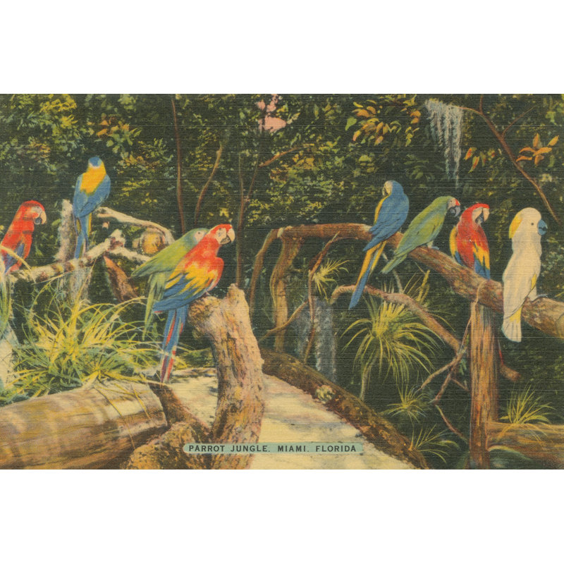 Florida Post card II par Wild Apple Portfolio - photographie sur toile tendue, H 20 po x l 30 po