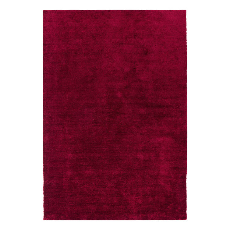 Aikin Solid Colour Shag Area Rug