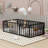 Aliauna Metal Slat Bed-1741581462