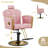 Salon Chair For Hair Stylist,Barber Chair For Home Barbershop With Professional Hydraulic Pump -Pink/Gold-129176280-108808823