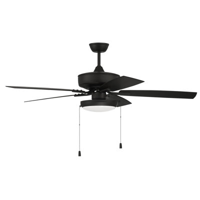 Ceiling Fan with LED Lights