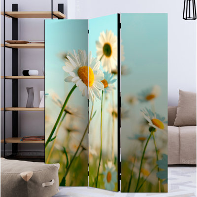 Mushegh 172cm H Folding Room Divider