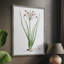 Rose Botanical II, reproduction encadrée - bois massif 47458-1974851644