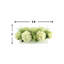 Mixed Hydrangea Bouquet-1457723123
