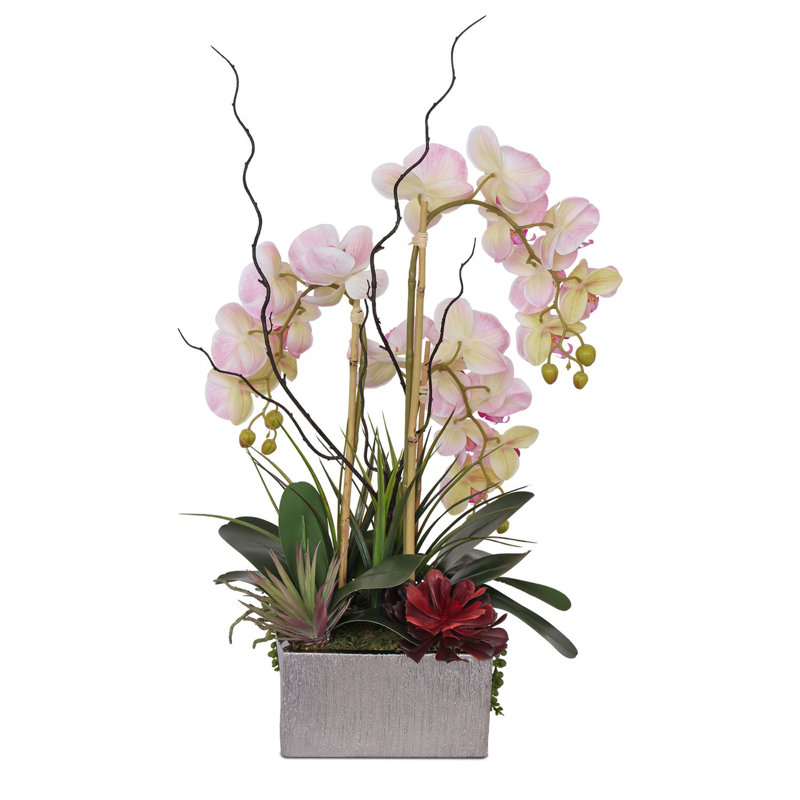 Real Touch Pink Phalaenopsis Orchids And Succulents Flower Arrangement In Square Sliver Etched Ceramic Pot