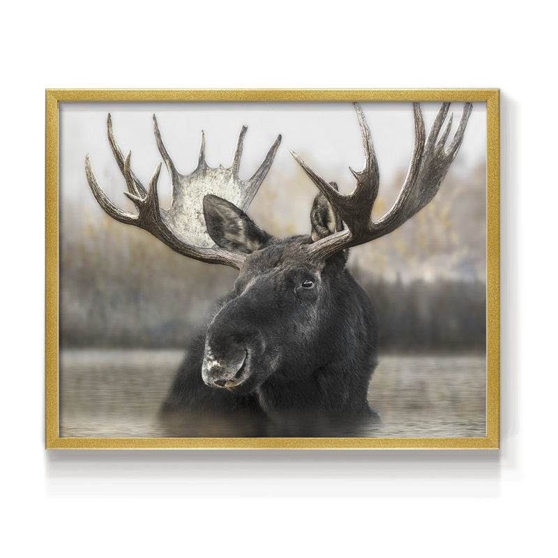 Moose Spa - reproduction encadrée - réarmable, H 16 po x l 20 po