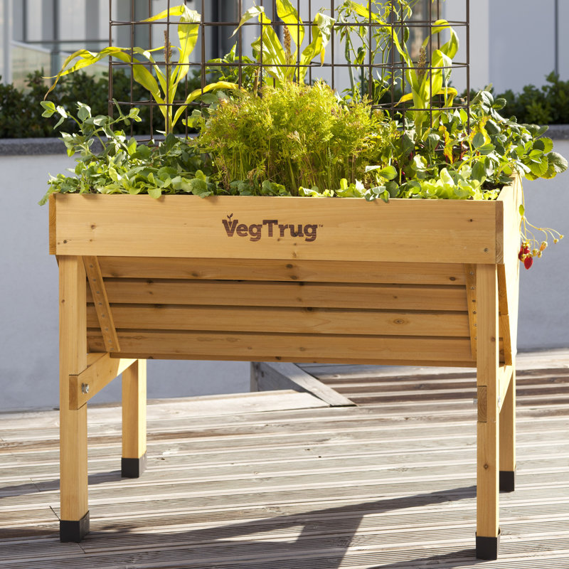 Classic VegTrug - Natural (FSC 100%), Small