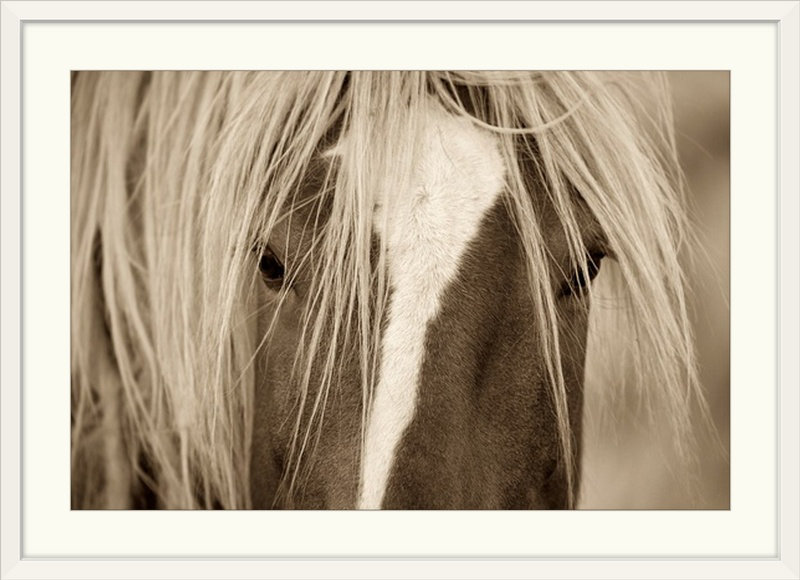 «Kemani The Blonde» Lisa Dearing, reproduction de photo, H 24 po x l 32 po x P 1 po, Cadre blanc