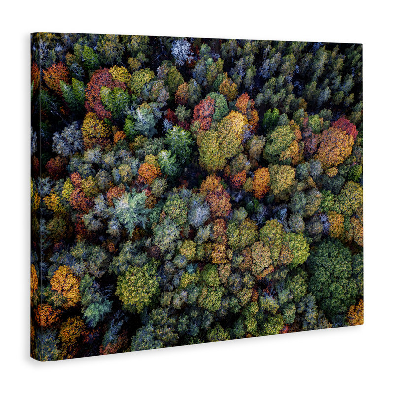 Art mural sur toile, "Feuillage automnal" par Rick Berk, H 24 po x l 30 po