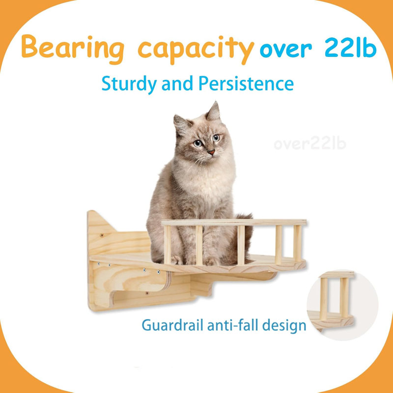 Ensemble de grimpeur 9 pièces Pine Cat