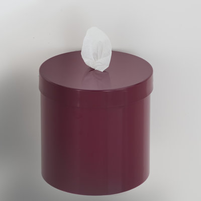 Wall Mounted Paper Towel Dispenser