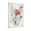 Plantes et fleurs, œillets roses, fond floral-934754087