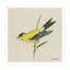 Goldfinch Print-1266894889