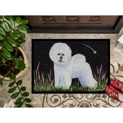 Non-Slip Indoor Doormat