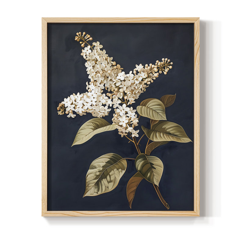 Reproduction encadrée FLORAL Series CLVII - bois massif, H 21 po x l 17 po