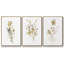 Ensemble de 3 toiles tendues bronze bronze-97759871-97759872
