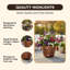 Pot de fleurs en cuivre-443214509