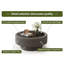 Table basse 31,5 po