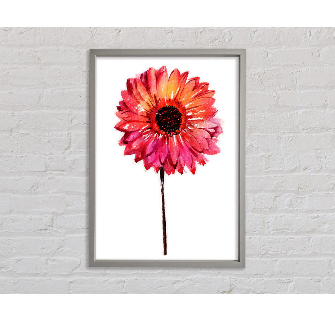 Gerbera Pinks - Einzelner Bilderrahmen Kunstdrucke auf Leinwand