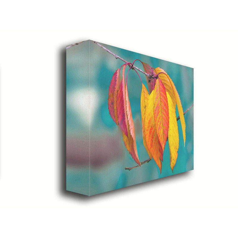Peint par Autumn par Hal Halli. Toile giclée sur toile avec cadre flottant, H 30 po x l 40 po, Toile tendue
