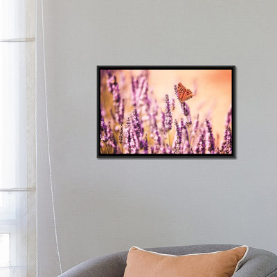 «Butterfly in Lavender Field, Provence, France» par Matteo Colombo - reproduction de photo sur toile tendue