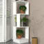 Elijahray Plant Stand