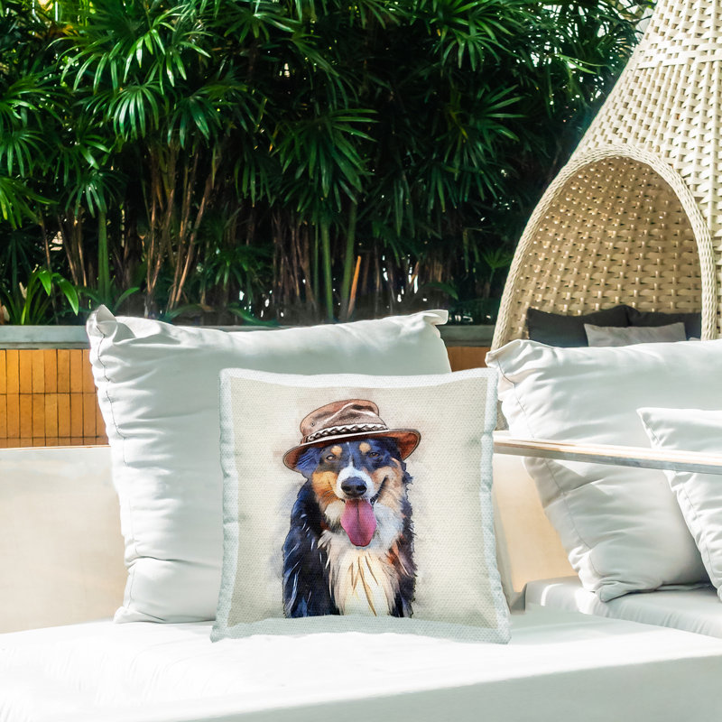 Coussin Collie Dog Happy Hat