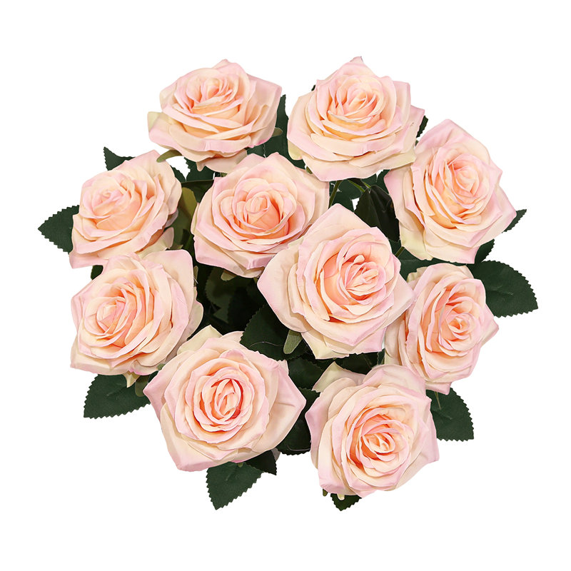 Grand rosier Jaafer Deluxe, Pêche rosé