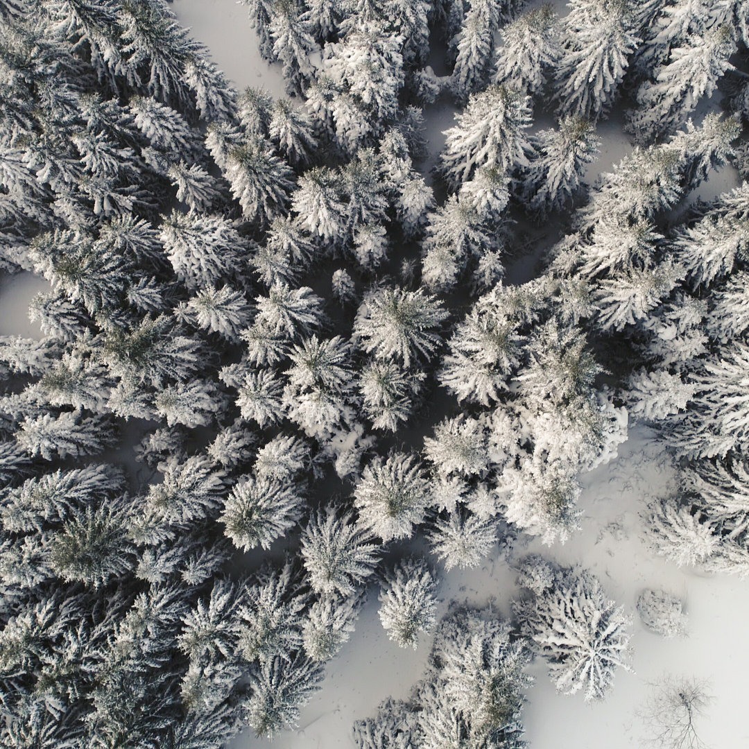 Winter in den Bergen von Georgijevic - Druck auf Leinwand ohne Rahmen