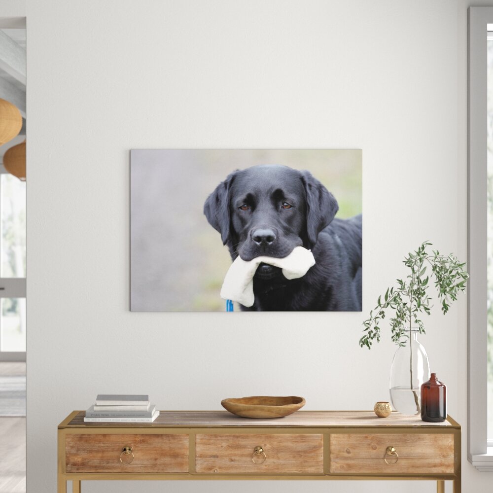 Leinwandbild „Schwarzer Labrador mit Spielzeug" von Dieter Müßler, Fotodruck