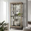 Quinn V Lighted Curio Cabinet