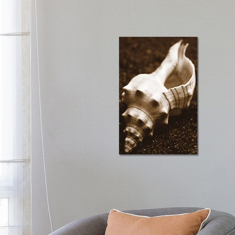 Sea Gallery III by Boyce Watt - Wrapped Canvas Print, 66.04 cm H x 45.72 cm W x 1.91 cm D