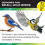 Mangeoire pour oiseaux sauvages Ai Smart