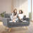 Janeil 49.5'' Reception Loveseat-498589568
