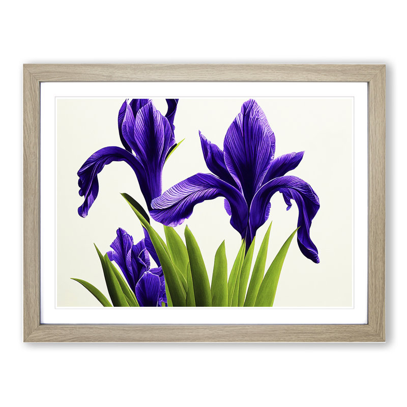 Spectacular Iris Flowers - Framed Print, 46cm H x 64cm W x 2cm D, Oak